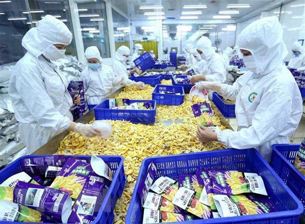 Đóng gói sản phẩm sấy khô xuất khẩu. (Ảnh: Vũ Sinh)