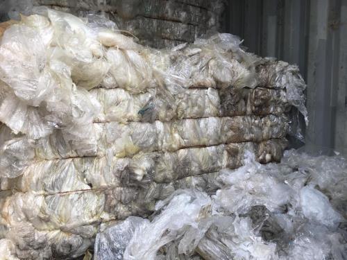 Hoạt động nhập khẩu rác thải vẫn diễn ra phức tạp, hàng hóa tồn đọng tại các cảng vẫn chưa có chiều hướng giảm rõ rệt. Ảnh: Thùy Dương