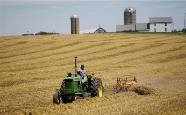 Một nông dân thu hoạch trên cánh đồng của mình tại trang trại ở Pecatonica, Illinois, Mỹ. Nguồn: Reuters