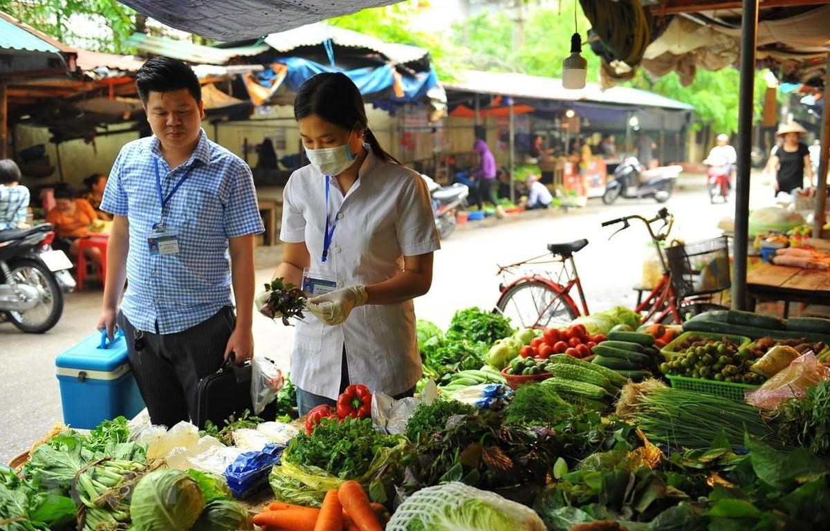 Ảnh minh họa. Ảnh: Minh Đức
