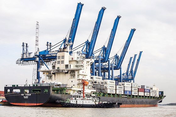 Việt Nam có thể trở thành nhà xuất khẩu hàng hóa lớn thứ 7 của Mỹ, bỏ xa Italia, Pháp, Anh và Ấn Độ. Ảnh: Viết Chung
