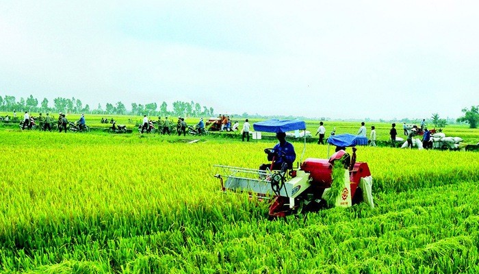 Ảnh minh họa. Nguồn: internet