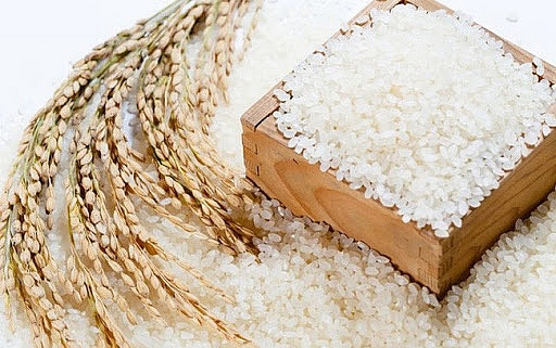 Giá gạo giảm