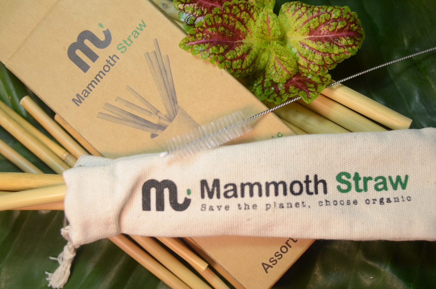 Ống hút Mammoth Straw có mùi thơm tự nhiên của cây cỏ đồng nội nên sẽ không ảnh hưởng gì hương vị của đồ uống.