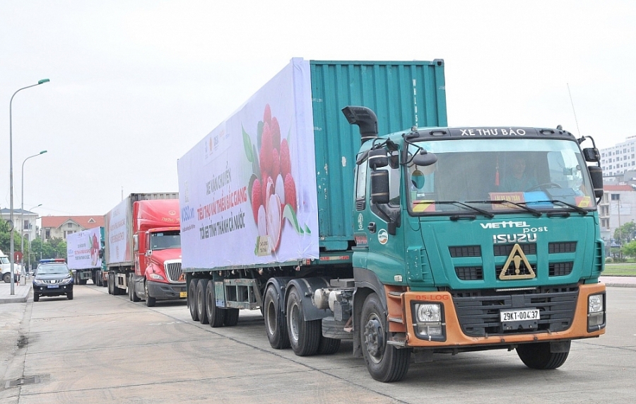 Xem xét thiết lập “điểm tập kết hàng hóa” (Ảnh minh họa)