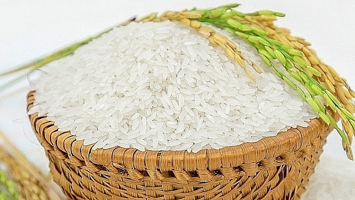 Ảnh minh họa. Nguồn: Internet.