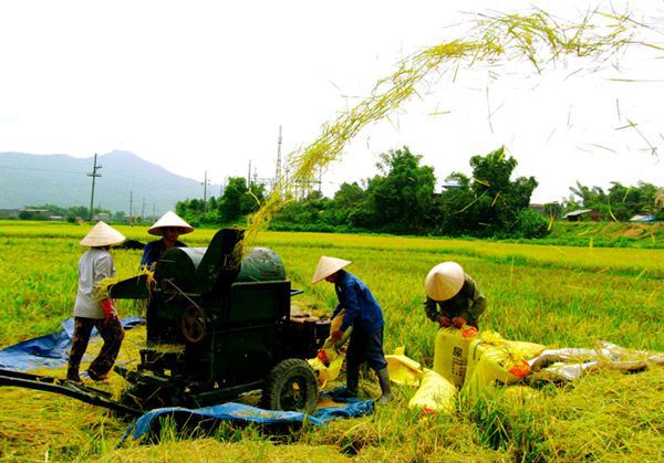 Ảnh minh họa. Nguồn: internet