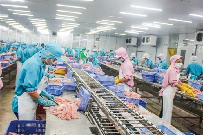Ngành thủy sản rộng cửa vào thị trường châu Phi