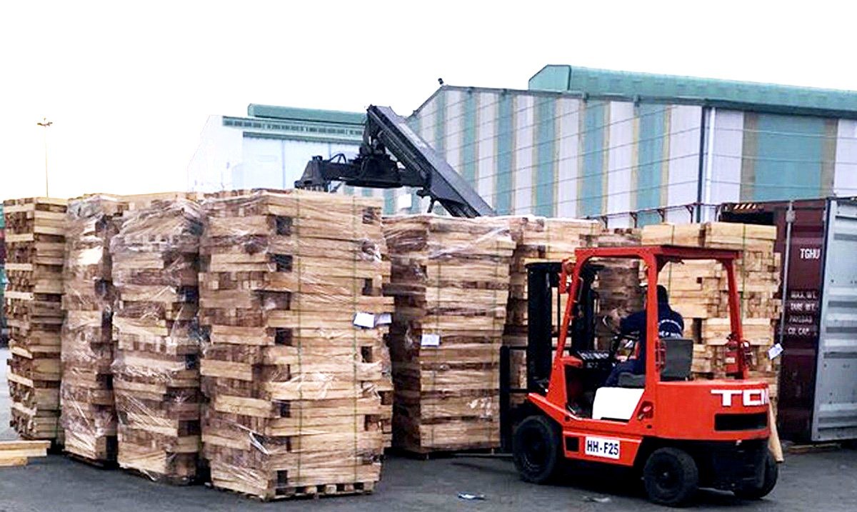 Gỗ lậu được Hải quan TP. Hồ Chí Minh phát hiện,thu giữ tại cảng Cát Lái.
