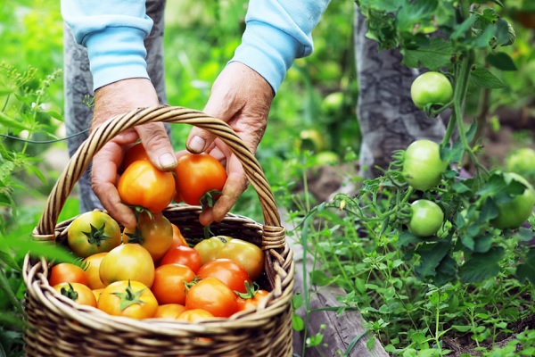Luật Bảo vệ môi trường 2020 đã bổ sung một chương về các công cụ kinh tế và nguồn lực cho bảo vệ môi trường