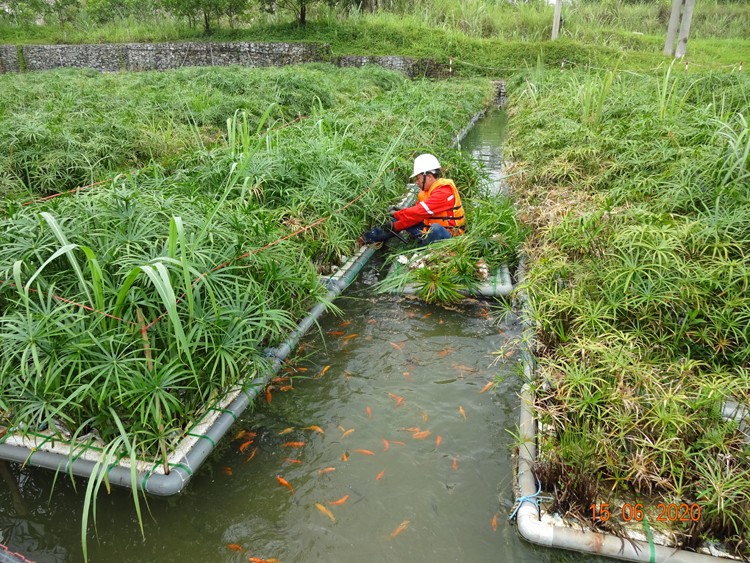Việt Nam cần tiếp tục đẩy mạnh ph&ograve;ng ngừa v&agrave; kiểm so&aacute;t &ocirc; nhiễm, suy tho&aacute;i m&ocirc;i trường.