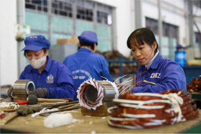 Trong 7 tháng, cả nước có 24,3 nghìn doanh nghiệp quay trở lại hoạt động, tăng 29,9% so với cùng kỳ năm 2018.
