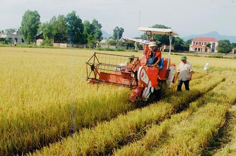 Ứng dụng tiến bộ khoa học kỹ thuật, cơ giới hóa vào sản xuất góp phần tăng năng suất, tiết kiệm chi phí và tăng lợi nhuận.