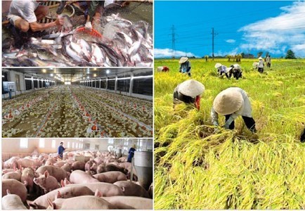Ngành Nông nghiệp đang đứng trước nhiều cơ hội lớn trong môi trường hội nhập
