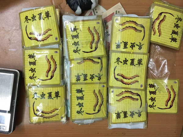 Hải quan Quảng Ninh phối hợp bắt giữ vụ vận chuyển 90g ma túy.