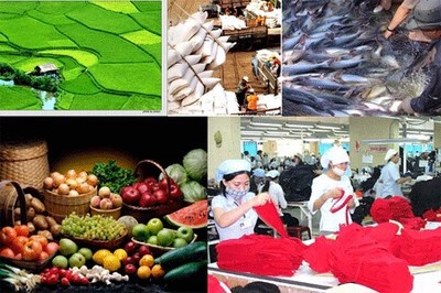 Ảnh minh họa. Nguồn: Internet