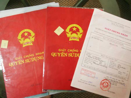 Ảnh minh họa. Nguồn: Internet