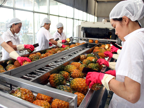 Khoảng 80% lượng hàng nông sản của nước ta ra thị trường thế giới phải thông qua trung gian bằng các “thương hiệu” nước ngoài. Ảnh minh họa. Nguồn: Internet