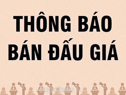 Ảnh minh họa. Nguồn: Internet