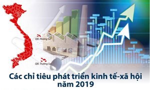 Ảnh minh họa. Nguồn: Internet.