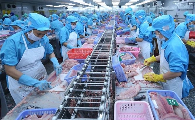 Thúc đẩy cho vay sản xuất, kinh doanh thủy sản theo chuỗi giá trị.