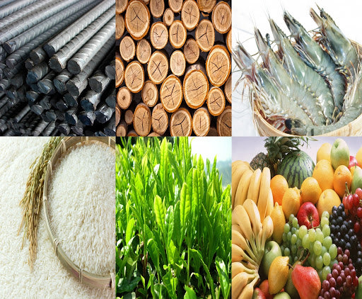 Hàng hóa Việt Nam không còn phải phụ thuộc một thị trường.