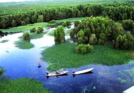 Bảo tồn, sử dụng bền vững các vùng đất ngập nước.