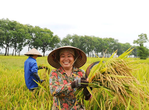 Với đề xuất kéo dài thời gian miễn thuế SDĐNN đến ngày 31/12/2025 thì số thuế SDĐNN được miễn khoảng 7.500 tỷ đồng/năm.