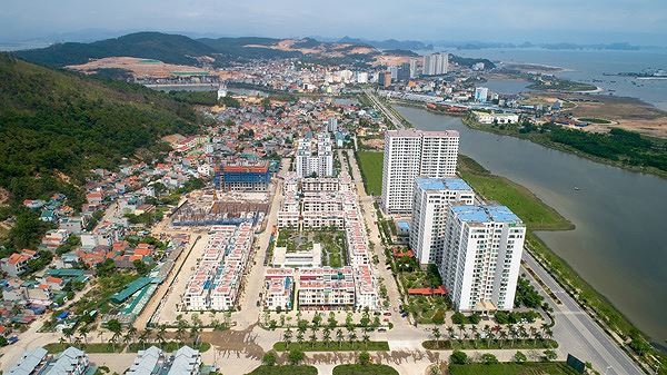 Dịch Covid-19 cũng là cơ hội cho những nhân tố mới nhập cuộc.