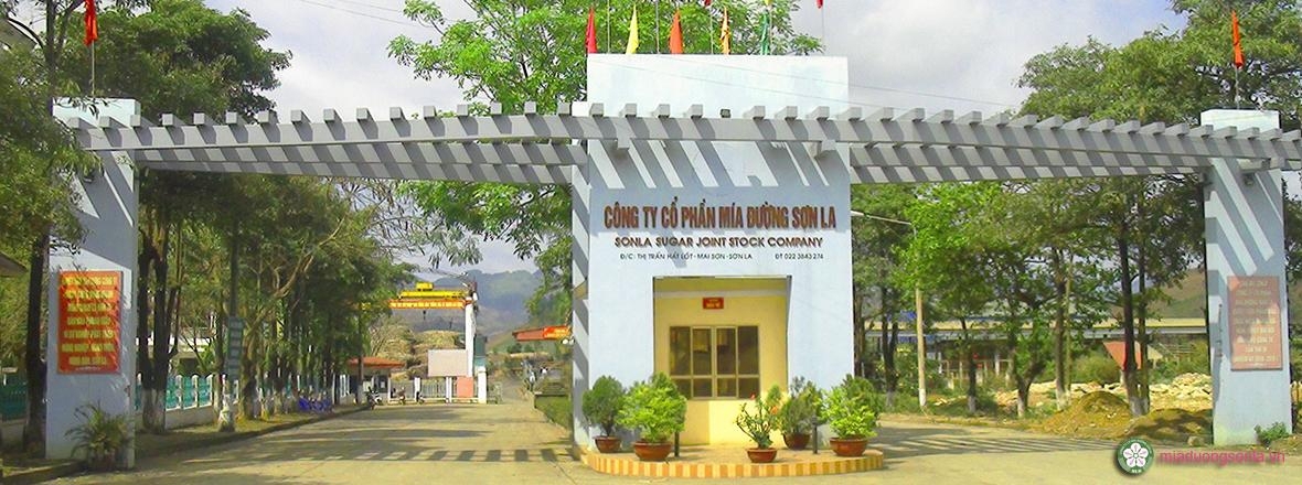 Không chỉ tái cơ cấu thành công Công ty Mía đường Sơn La, DATC còn giúp vực dậy vùng nguyên liệu, tạo thu nhập, nâng cao đời sống cho người dân.