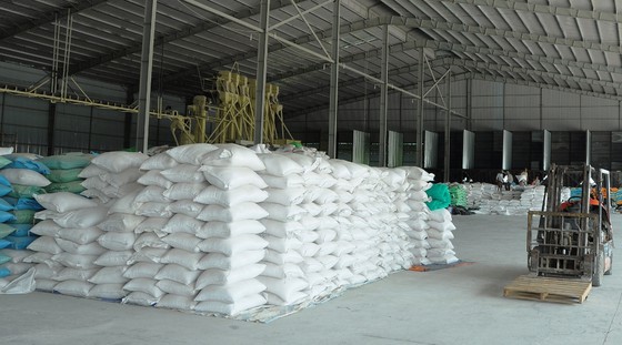 Số lượng nếp tồn kho ở Long An rất lớn, chủ yếu để xuất khẩu.