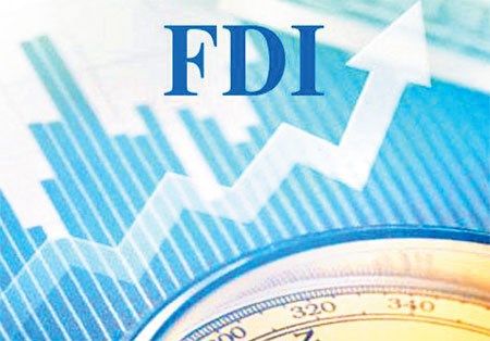 Phải có cơ chế kiểm soát để hạn chế doanh nghiệp FDI lỗ luỹ kế, lỗ mất vốn.