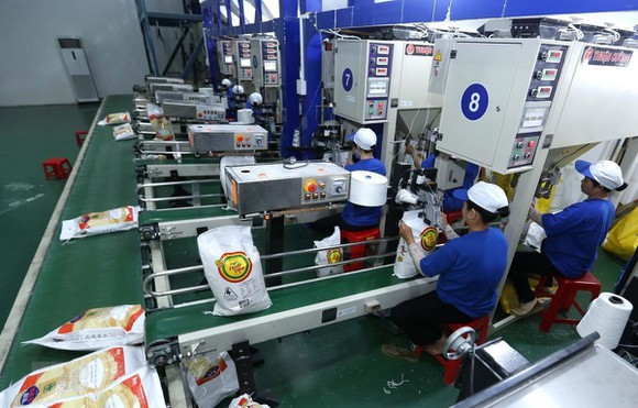 Tổng cục Hải quan khẩn trương thanh tra, kiểm tra hoạt động xuất khẩu gạo.