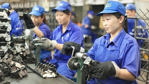 Chính sách dành riêng cho lao động nữ và thúc đẩy bình đẳng giới khi tham gia vào thị trường lao động.