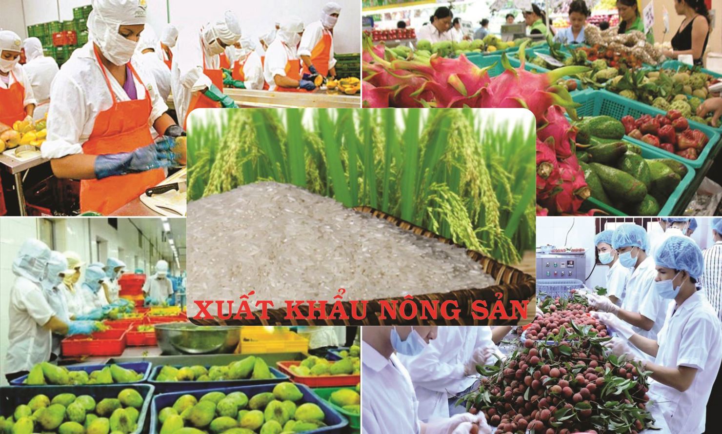 Trong 4 tháng đầu năm, hầu hết các mặt hàng xuất khẩu đều giảm kim ngạch.
