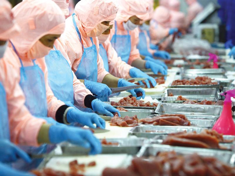 Kỳ vọng EVFTA kéo doanh nghiệp thuỷ sản vượt khó trong bối cảnh đại dịch.