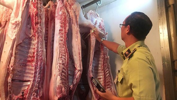 Cơ quan chức năng TPHCM giám sát dịch tả heo châu Phi tại một chợ đầu mối ở TPHCM.