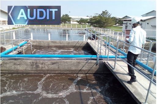 Mục đích chính của KTMT là xem xét hệ thống quản lý hiện tại của công ty có đạt về hiệu suất môi trường hay không.