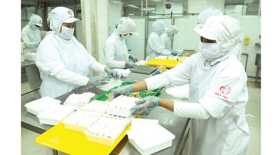 Hoạt động sản xuất tại Công ty Cầu Tre - doanh nghiệp được một tập đoàn Hàn Quốc.