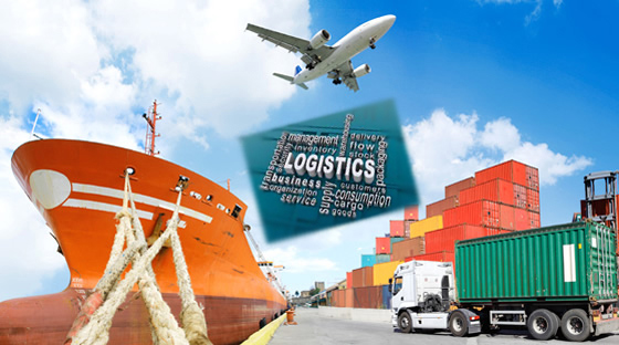 Dịch vụ Logistics Việt Nam cần phải có nguồn nhân lực chất lượng cao cả về kỹ năng thực tế, kiến thức chuyên môn.