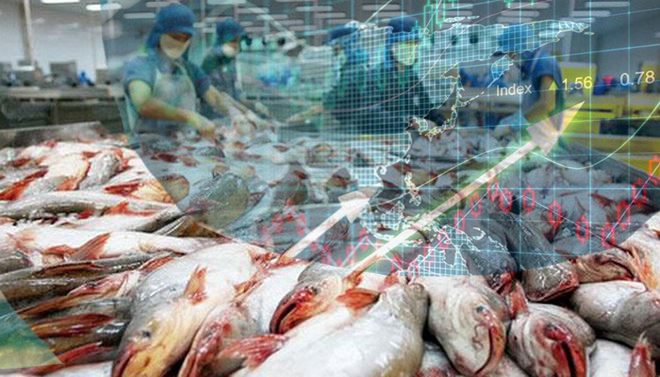 Cổ phiếu cá tra nổi sóng trước thông tin miễn thuế.
