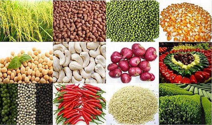 Kim ngạch xuất khẩu nông lâm thủy sản đã có sự tăng trưởng trở lại.