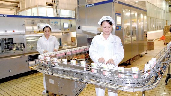Dây chuyền sản xuất sữa tại Vinamilk.