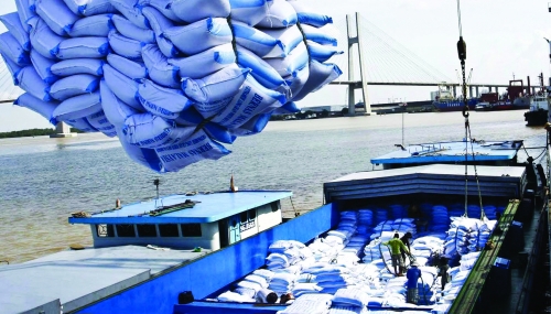 Xuất khẩu gạo tăng mạnh, giá cao nhất trong nhiều năm.