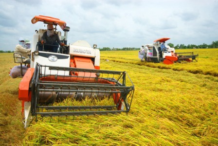 COVID-19: Việt Nam đã bảo đảm tuyệt đối an ninh lương thực quốc gia.