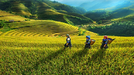 Tập trung phát triển kinh tế - xã hội vùng đồng bào dân tộc thiểu số và miền núi.