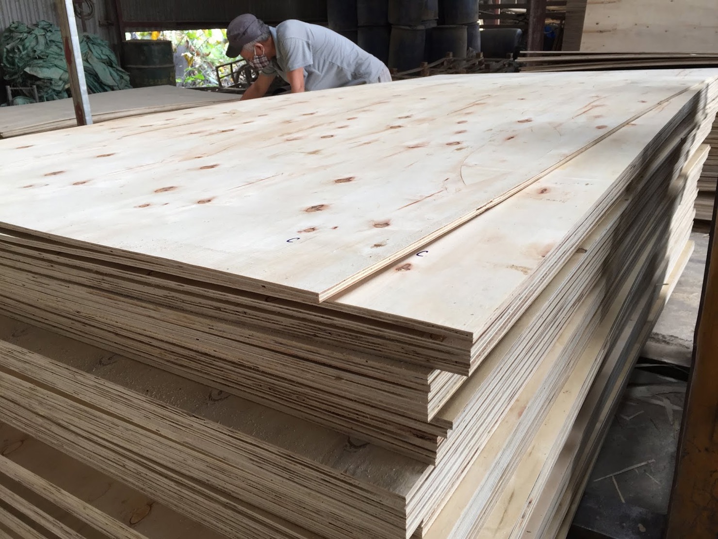 Xuất khẩu gỗ dán đối diện 2 vụ kiện gian lận thương mại.