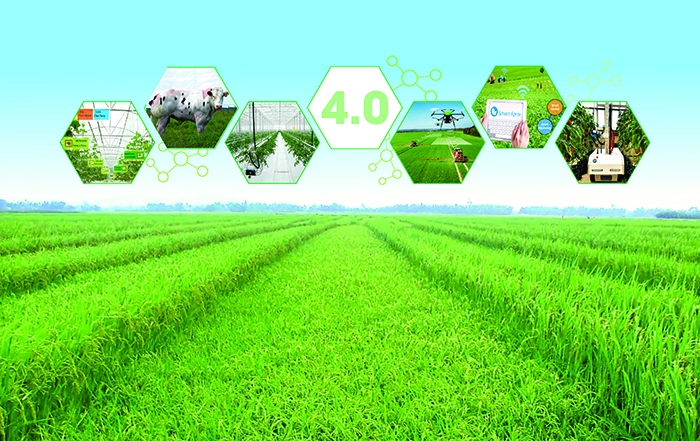 Việt Nam cần 100.000 doanh nghiệp kinh doanh trong lĩnh vực nông nghiệp hiệu quả