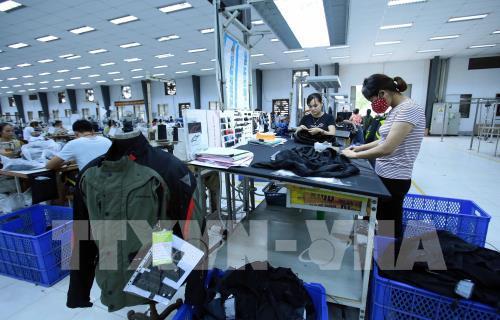 Sản xuất các mặt hàng may mặc xuất khẩu tại Công ty TNHH Kydo Việt Nam có vốn đầu tư Hàn Quốc (Khu công nghiệp Phố nối A, Hưng Yên).