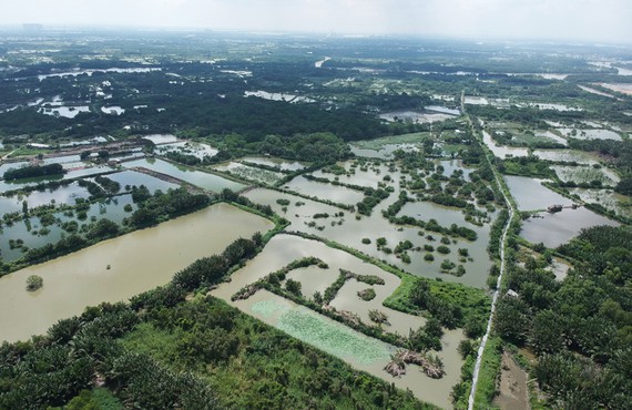 Đất nông nghiệp tại một huyện ở TP. Hồ Chí Minh.